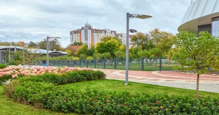 Профессиональное озеленение улиц в Новосибирске в октябре