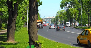 Посадка деревьев и кустарников в Новосибирске — стоимость от 1220 руб.